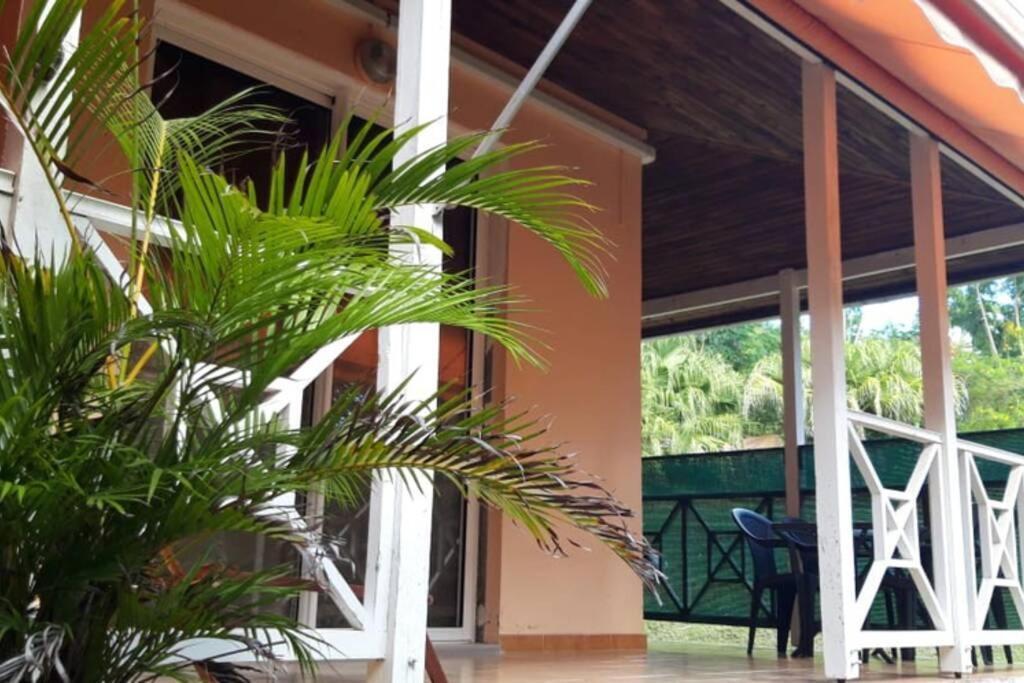 Residence Ti'Keol - Appartements Avec Terrasse 2 A 4 Personnes, Piscine Sainte-Anne Exterior foto